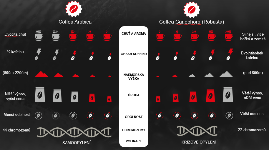 Coffee Academy: 2. díl – Od zrnka až k přístavu