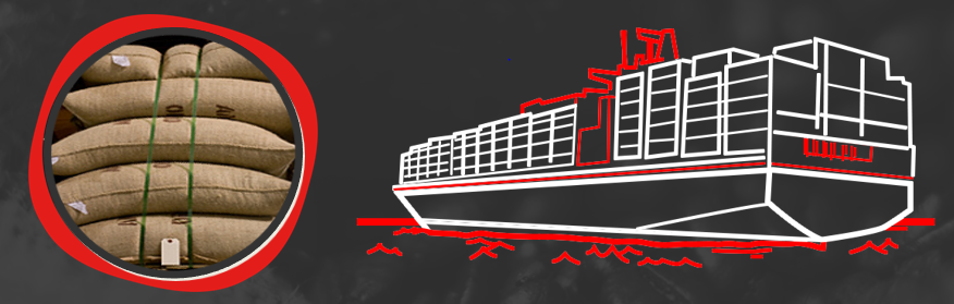 Coffee Academy: 2. díl – Od zrnka až k přístavu