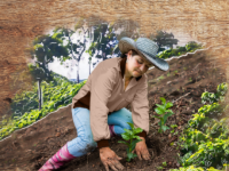 200x200-nescafe-plan-sustainability