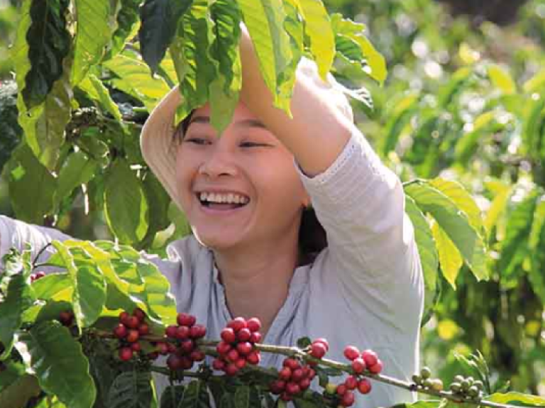 Nescafe Plan Farmer