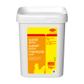 Maggi_slepici_vyvar_1kg