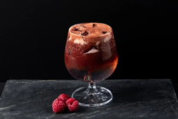 malinove-double-espresso-na-ledu-s-tonikem-a-vodkou_0