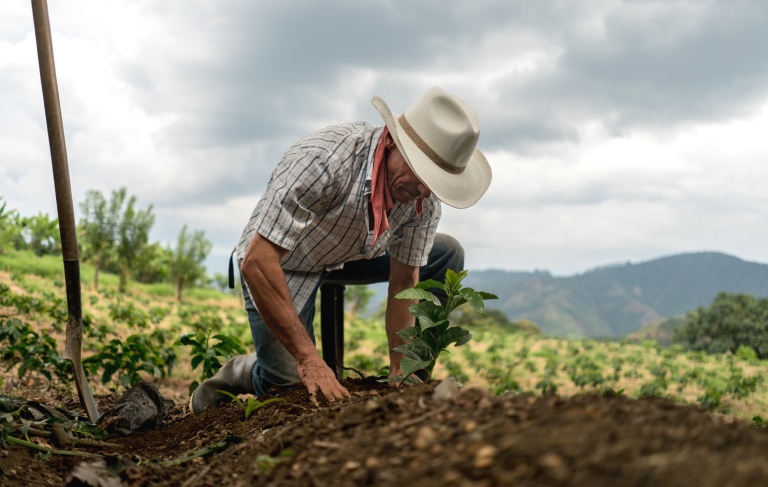 farmers